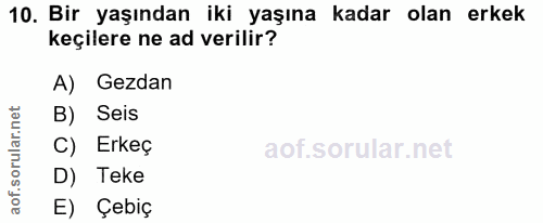 10. soru: Bir yaşından iki yaşına kadar olan erkek keçilere ne ad verilir? A) Gezdan orular.net B) Seis C) Erkeç aof.s D) Teke…