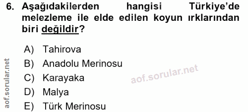 6. soru: Aşağıdakilerden hangisi Türkiye'de melezleme ile elde edilen koyun ırklarından biri değildir? A) Tahirova B) Anadolu…