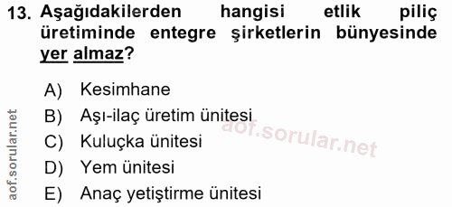 13. soru: Aşağıdakilerden hangisi etlik piliç üretiminde entegre şirketlerin bünyesinde yer almaz? A) Kesimhane B) Aşı-ilaç üre…