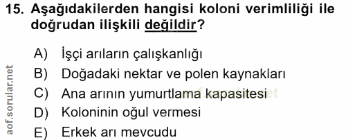 15. soru: Aşağıdakilerden hangisi koloni verimliliği ile doğrudan ilişkili değildir? A) İşçi arıların çalışkanlığı B) Doğadaki…