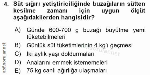 4. soru: Süt sığırı yetiştiriciliğinde buzağıların sütten kesilme zamanı uygun ölçüt aşağıdakilerden hangisidir? A) Günde 600-…