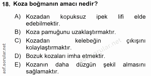 18. soru: Koza boğmanın amacı nedir? A) Kozadan kopuksuz ipek lifi elde edebilmektir. B) Koza pamuğunu uzaklaştırmaktır. C) Koz…