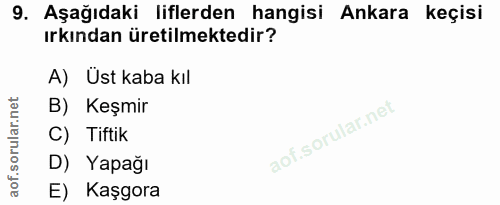 9. soru: Aşağıdaki liflerden hangisi Ankara keçisi ırkından üretilmektedir? A) Ust kaba kıl B) Keşmir C) Tiftik D) Yapağı E) K…
