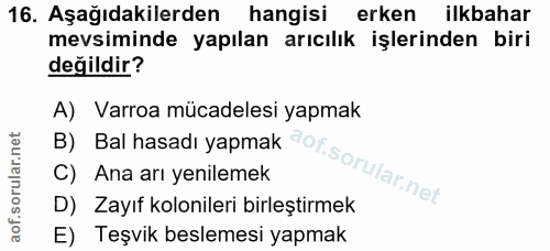 16. soru: Aşağıdakilerden hangisi erken ilkbahar mevsiminde yapılan arıcılık işlerinden biri değildir? A) Varroa mücadelesi yap…