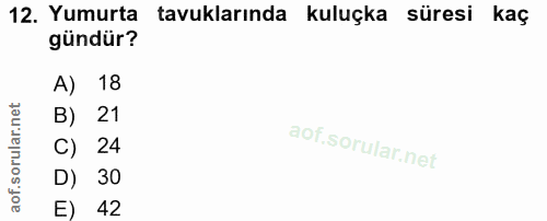 12. soru: Yumurta tavuklarında kuluçka süresi kaç gündür? A) 18 B) 21 C) 24 D) 30 E) 42