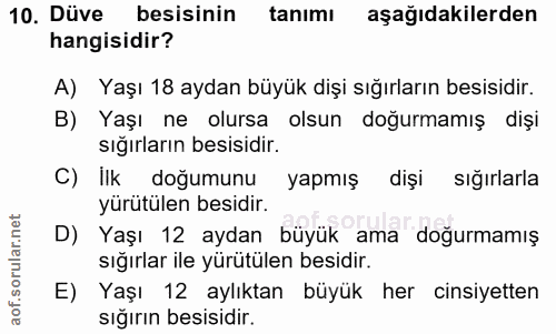 10. soru: Düve besisinin tanımı aşağıdakilerden hangisidir? A) Yaşı 18 aydan büyük dişi sığırların besisidir. B) Yaşı ne olursa…