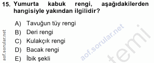 15. soru: Yumurta kabuk rengi, aşağıdakilerden hangisiyle yakından ilgilidir? A) Tavuğun tüy rengi B) Deri rengi C) Kulakçık re…