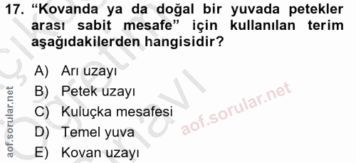17. soru: "Kovanda ya da doğal bir yuvada petekler arası sabit mesafe" için kullanılan terim aşağıdakilerden hangisidir? A) Arı…