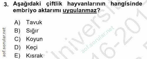 3. soru: Aşağıdaki çiftlik hayvanlarının hangisinde embriyo aktarımı uygulanmaz? A) Tavuk B) Siğır C) Koyun D) Keçi E) Kısrak