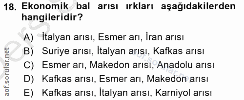 18. soru: Ekonomik bal arısı ırkları aşağıdakilerden hangileridir? A) Italyan arısı, Esmer arı, Iran arısı B) Suriye arısı, İta…