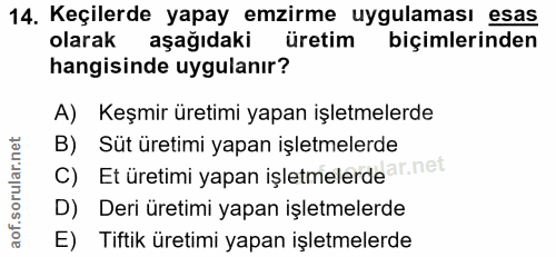 14. soru: Keçilerde yapay emzirme uygulaması esas olarak aşağıdaki üretim biçimlerinden hangisinde uygulanır? A) Keşmir üretimi…