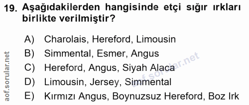 19. soru: Aşağıdakilerden hangisinde etçi sığır ırkları birlikte verilmiştir? A) Charolais, Hereford, Limousin C) Hereford, Ang…