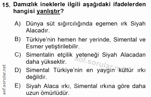 15. soru: Damızlık ineklerle ilgili aşağıdaki ifadelerden hangisi yanlıştır? A) Dünya süt sığırcılığında egemen ırk Siyah Alaca…