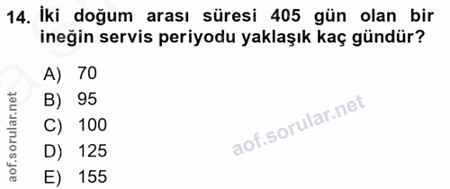 14. soru: Iki doğum arası süresi 405 gün olan bir ineğin servis periyodu yaklaşık kaç gündür? A) 70 B) 95 C) 100 D) 125 E) 155