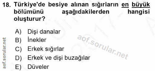 18. soru: Türkiye'de besiye alınan sığırların en büyük bölümünü aşağıdakilerden hangisi oluşturur? A) Dişi danalar B) Inekler C…