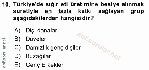 10. soru: Türkiye'de sığır eti üretimine besiye alınmak suretiyle en fazla katkı sağlayan grup aşağıdakilerden hangisidir? A) D…