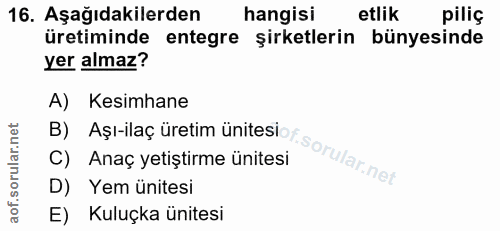 16. soru: Aşağıdakilerden hangisi etlik piliç üretiminde entegre şirketlerin bünyesinde yer almaz? A) Kesimhane B) Aşı-ilaç üre…