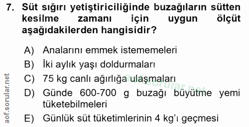7. soru: Süt sığırı yetiştiriciliğinde buzağıların sütten kesilme zamanı için uygun ölçüt aşağıdakilerden hangisidir? A) Anala…
