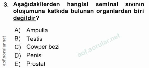 3. soru: Aşağıdakilerden hangisi seminal sıvının oluşumuna katkıda bulunan organlardan biri değildir? A) Ampulla B) Testis C)…