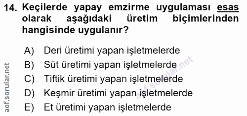 14. soru: Keçilerde yapay emzirme uygulaması esas olarak aşağıdaki üretim biçimlerinden hangisinde uygulanır? A) Deri üretimi y…