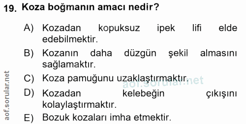 19. soru: Koza boğmanın amacı nedir? A) Kozadan kopuksuz ipek lifi elde edebilmektir. B) Kozanın daha düzgün şekil almasını sağ…