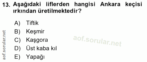 13. soru: Aşağıdaki liflerden hangisi Ankara keçisi ırkından üretilmektedir? A) Tiftik B) Keşmir C) Kaşgora D) Üst kaba kıl E)…