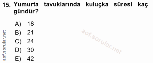 15. soru: Yumurta tavuklarında kuluçka süresi kaç gündür? A) 18 B) 21 C) 24 D) 30 E) 42
