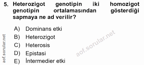 5. soru: Heterozigot genotipin iki homozigot genotipin ortalamasından gösterdiği sapmaya ne ad verilir? A) Dominans etki B) He…