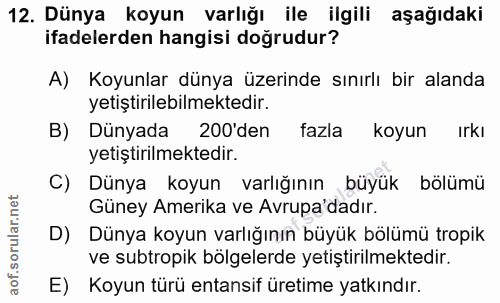 12. soru: Dünya koyun varlığı ile ilgili aşağıdaki ifadelerden hangisi doğrudur? A) Koyunlar dünya üzerinde sınırlı bir alanda…