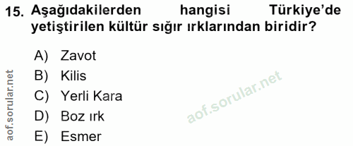 15. soru: Aşağıdakilerden hangisi Türkiye'de yetiştirilen kültür sığır ırklarından biridir? A) Zavot B) Kilis C) Yerli Kara D)…
