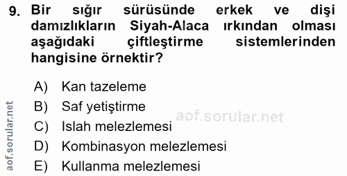 9. soru: Bir sığır sürüsünde erkek ve dişi damızlıkların Siyah-Alaca ırkından olması aşağıdaki çiftleştirme sistemlerinden han…