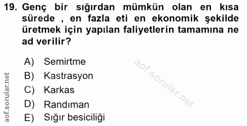 19. soru: Genç bir sığırdan mümkün olan en kisa sürede , en fazla eti en ekonomik şekilde üretmek için yapılan faliyetlerin tam…