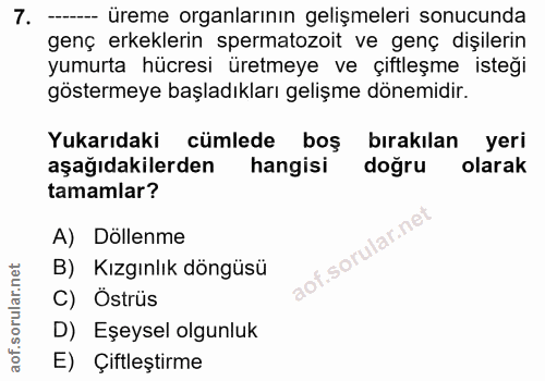 7. soru: ----- üreme organlarının gelişmeleri sonucunda genç erkeklerin spermatozoit ve genç dişilerin yumurta hücresi üretmey…