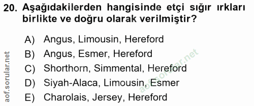 20. soru: Aşağıdakilerden hangisinde etçi sığır ırkları birlikte ve doğru olarak verilmiştir? A) Angus, Limousin, Hereford B) A…