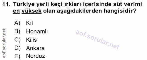 11. soru: Türkiye yerli keçi ırkları içerisinde süt verimi en yüksek olan aşağıdakilerden hangisidir? A) KIl B) Honamlı C) Kili…