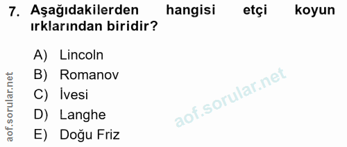 7. soru: Aşağıdakilerden hangisi etçi koyun ırklarından biridir? A) Lincoln B) Romanov C) İvesi D) Langhe E) Doğu Friz