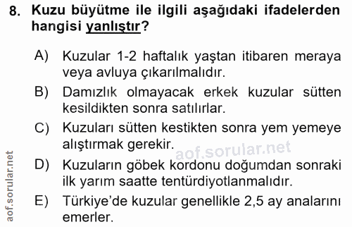 8. soru: Kuzu büyütme ile ilgili aşağıdaki ifadelerden hangisi yanlıştır? A) Kuzular 1-2 haftalık yaştan itibaren meraya veya…