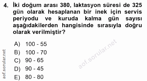 4. soru: İki doğum arası 380, laktasyon süresi de 325 gün olarak hesaplanan bir inek için servis periyodu ve kuruda kalma gün…
