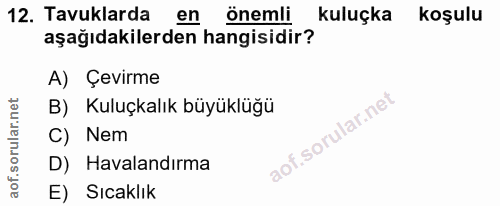 12. soru: Tavuklarda en önemli kuluçka koşulu aşağıdakilerden hangisidir? A) Çevirme B) Kuluçkalık büyüklüğü C) Nem D) Havaland…