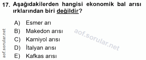 17. soru: Aşağıdakilerden hangisi ekonomik bal arısı ırklarından biri değildir? A) Esmer arı B) Makedon arısı C) Karniyol arısı…