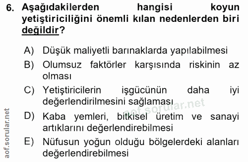 6. soru: Aşağıdakilerden hangisi koyun yetiştiriciliğini önemli kılan nedenlerden biri değildir? A) Düşük maliyetli barınaklar…