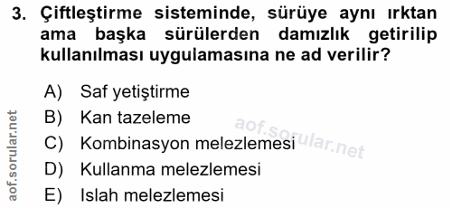 3. soru: Çiftleştirme sisteminde, sürüye aynı ırktan ama başka sürülerden damızlık getirilip kullanılması uygulamasına ne ad v…