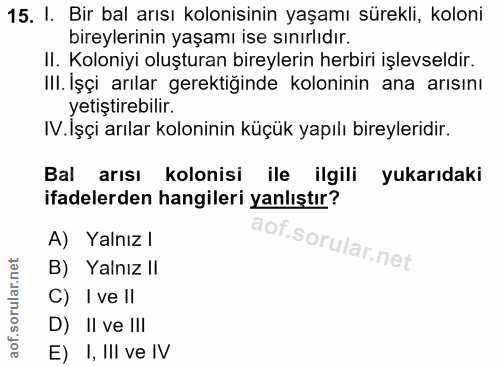 15. soru: I. Bir bal arısı kolonisinin yaşamı sürekli, koloni bireylerınin yaşamı ise sınırlıdır. II. Koloniyi oluşturan bireyl…
