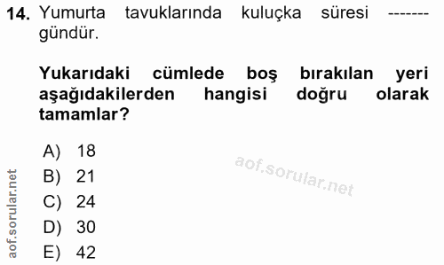 14. soru: Yumurta tavuklarında kuluçka süresi gündür. Yukarıdaki cümlede boş bırakılan yeri aşağıdakilerden hangisi doğru olara…
