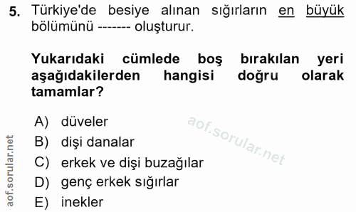 5. soru: Türkiye'de besiye alınan sığırların en büyük bölümünü ----- oluşturur. Yukarıdaki cümlede boş bırakılan yeri aşağıdak…