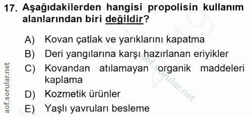 17. soru: Aşağıdakilerden hangisi propolisin kullanım alanlarından biri değildir? A) Kovan çatlak ve yarıklarını kapatma B) Der…