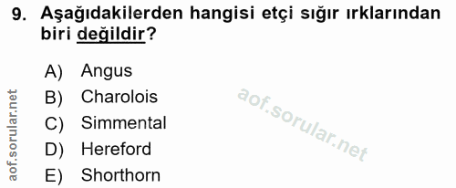 9. soru: Aşağıdakilerden hangisi etçi sığır ırklarından biri değildir? A) Angus B) Charolois Simmental D) Hereford E) Shorthorn