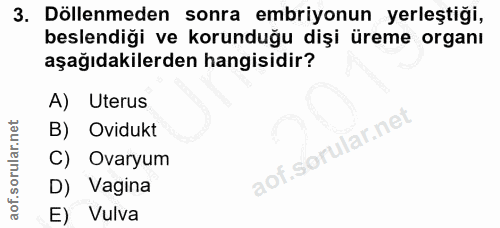 3. soru: Döllenmeden sonra embriyonun yerleştiği, beslendiği ve korunduğu dişi üreme organı aşağıdakilerden hangisidir? A) Ute…