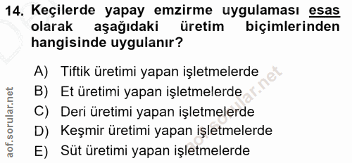 14. soru: Keçilerde yapay emzirme uygulaması esas olarak aşağıdaki üretim biçimlerinden hangisinde uygulanır? A) Tiftik üretimi…