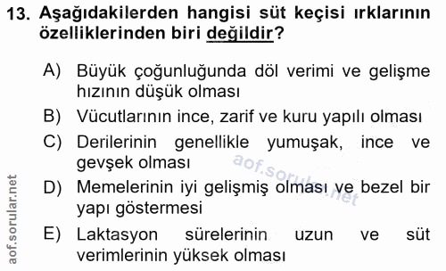 13. soru: Aşağıdakilerden hangisi süt keçisi ırklarının özelliklerinden biri değildir? A) Büyük çoğunluğunda döl verimi ve geli…